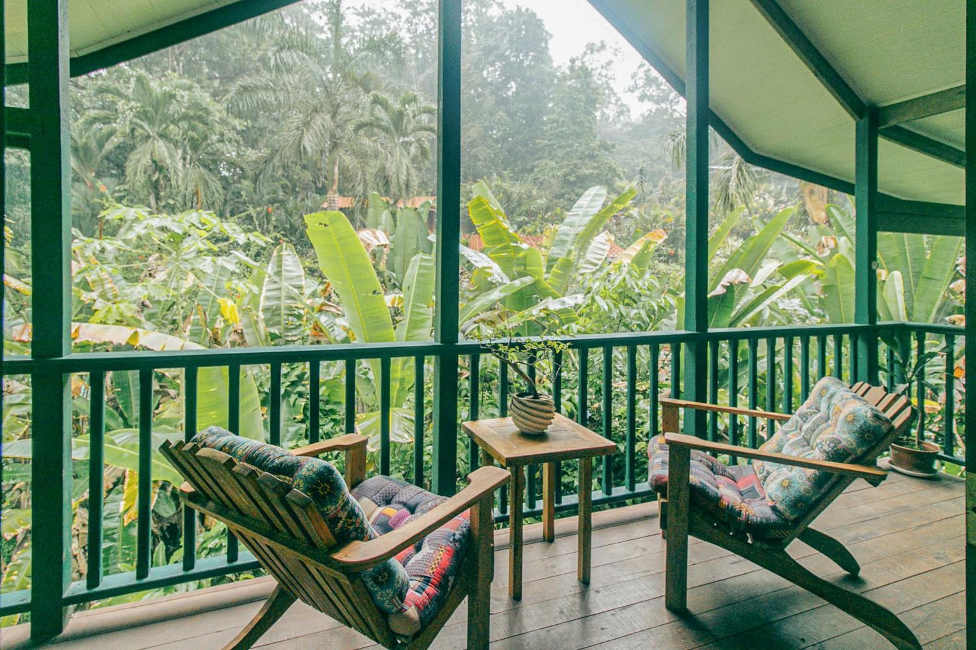 Casa De Mono Bocas Bed & Breakfast Big Creek Екстериор снимка
