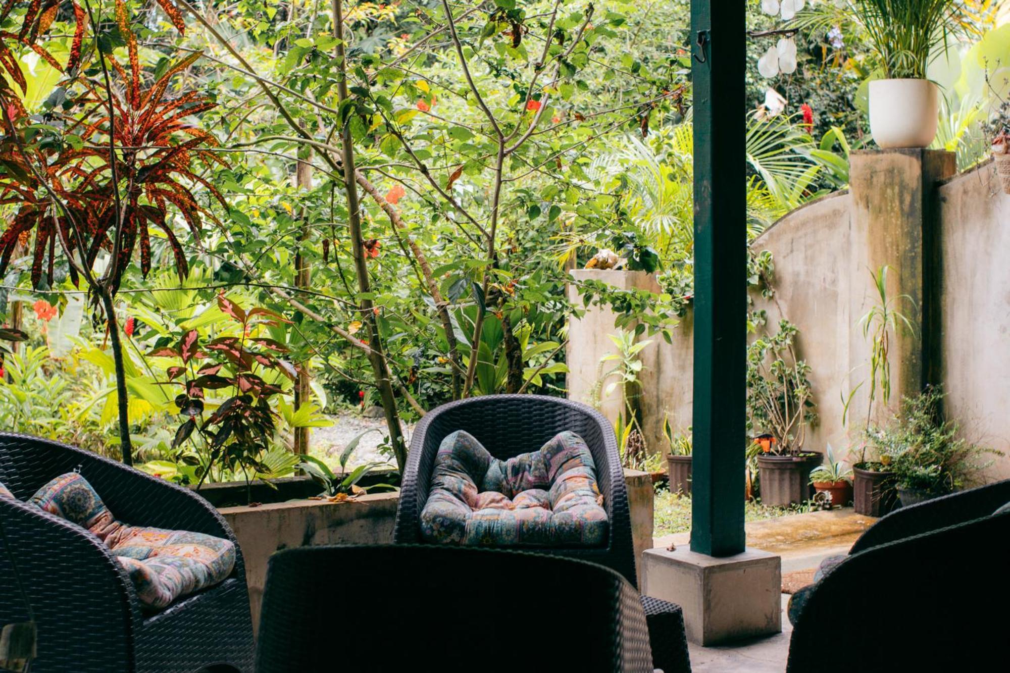 Casa De Mono Bocas Bed & Breakfast Big Creek Екстериор снимка