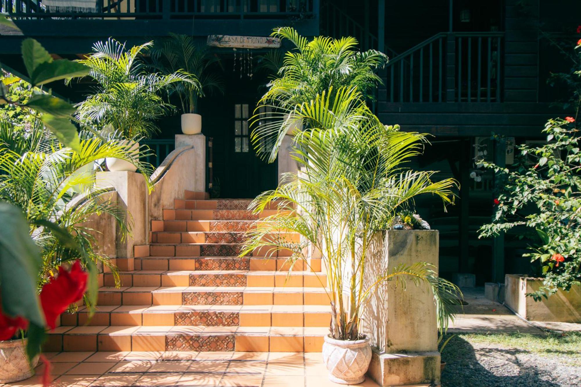 Casa De Mono Bocas Bed & Breakfast Big Creek Екстериор снимка