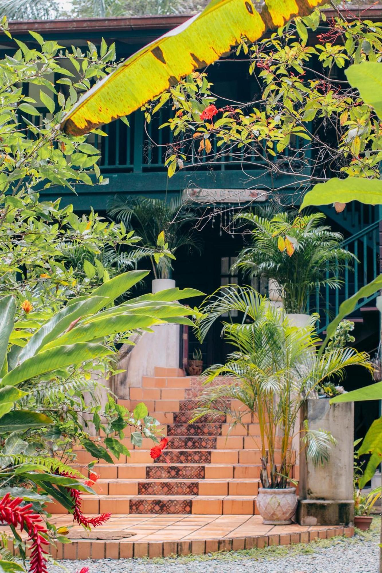 Casa De Mono Bocas Bed & Breakfast Big Creek Екстериор снимка