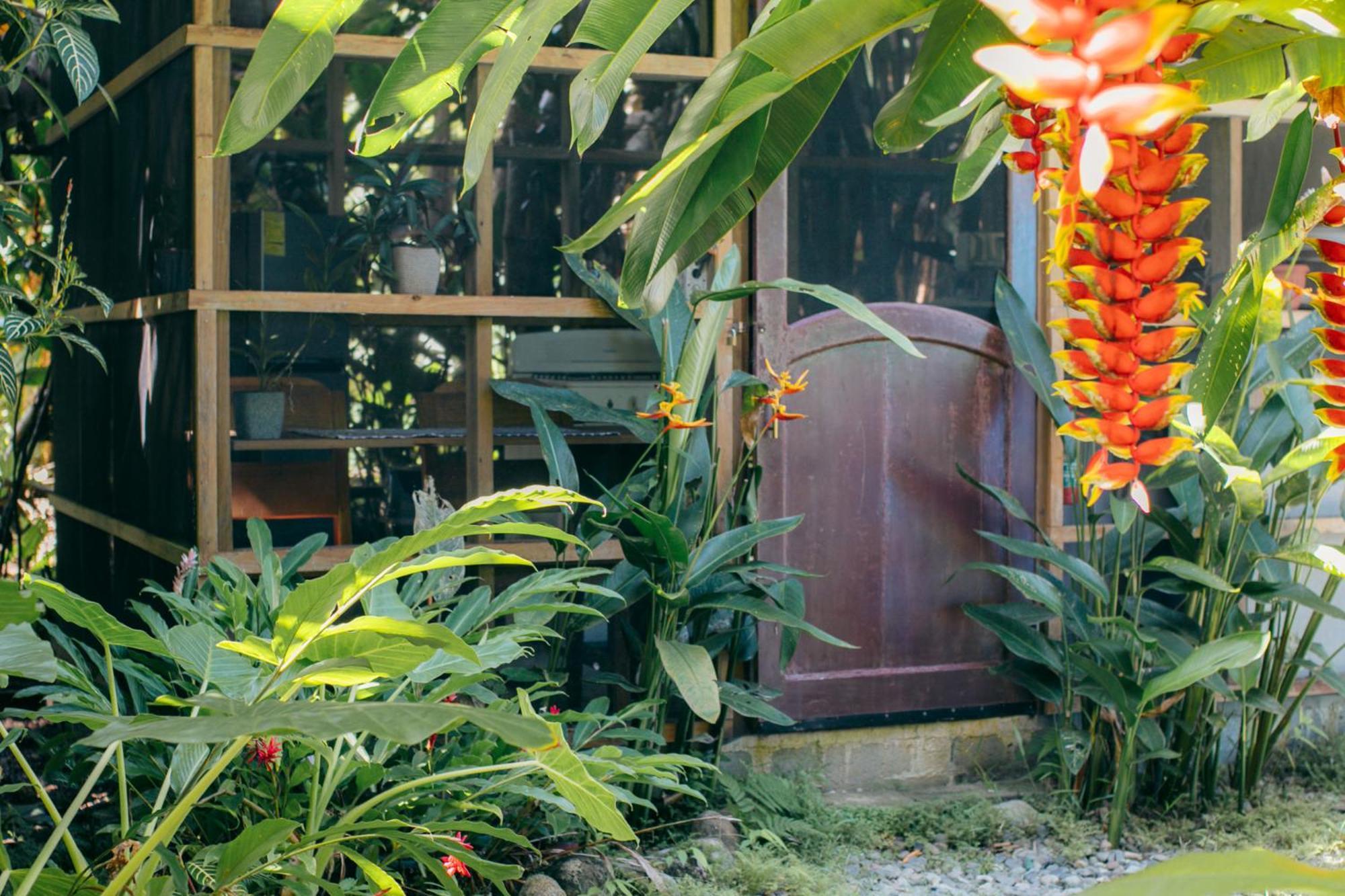 Casa De Mono Bocas Bed & Breakfast Big Creek Екстериор снимка